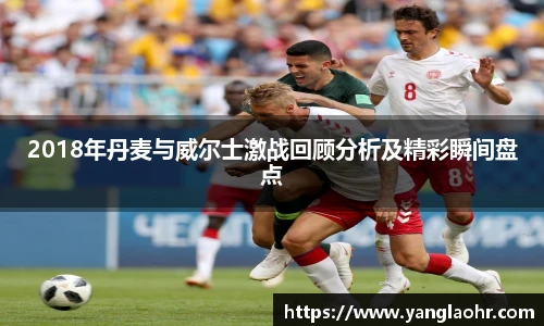 2018年丹麦与威尔士激战回顾分析及精彩瞬间盘点