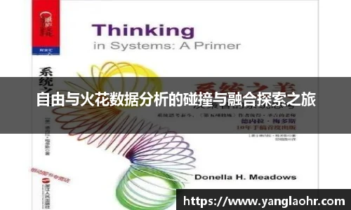 自由与火花数据分析的碰撞与融合探索之旅